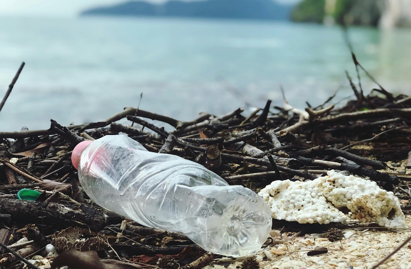 Plastic bottle litter in the foreground of body of water.