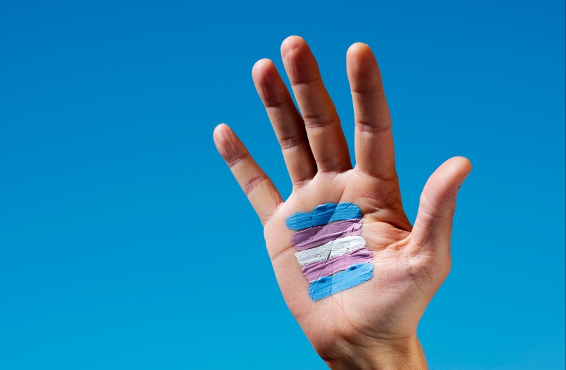 Trans rights flag on palm